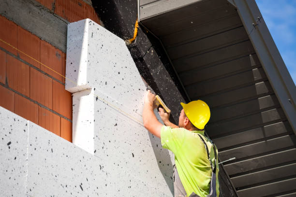 Best Wall Insulation Installation in Summerlin South, NV