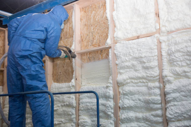 Best Attic Insulation Installation in Summerlin South, NV